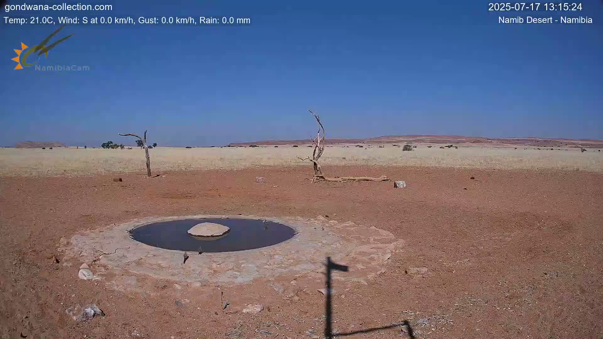 Wild Life in Namib Desert Naukluft National Park Live Cam - Maltahohe, Hardap,  Namibia