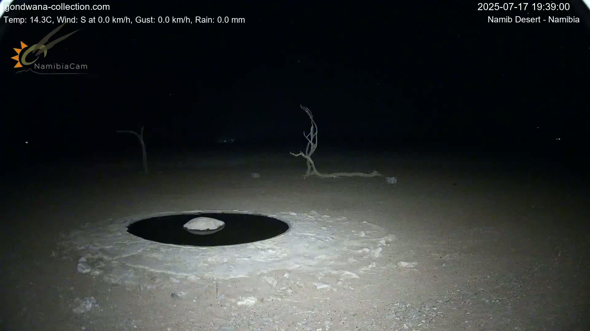 Wild Life in Namib Desert Naukluft National Park Live Cam - Maltahohe, Hardap,  Namibia