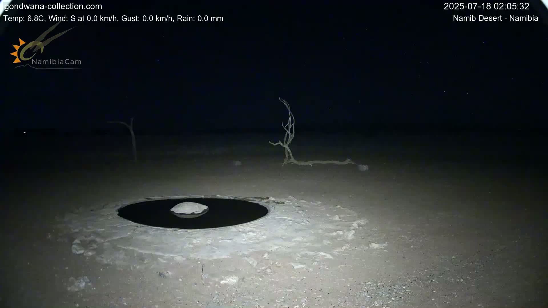 Wild Life in Namib Desert Naukluft National Park Live Cam - Maltahohe, Hardap,  Namibia