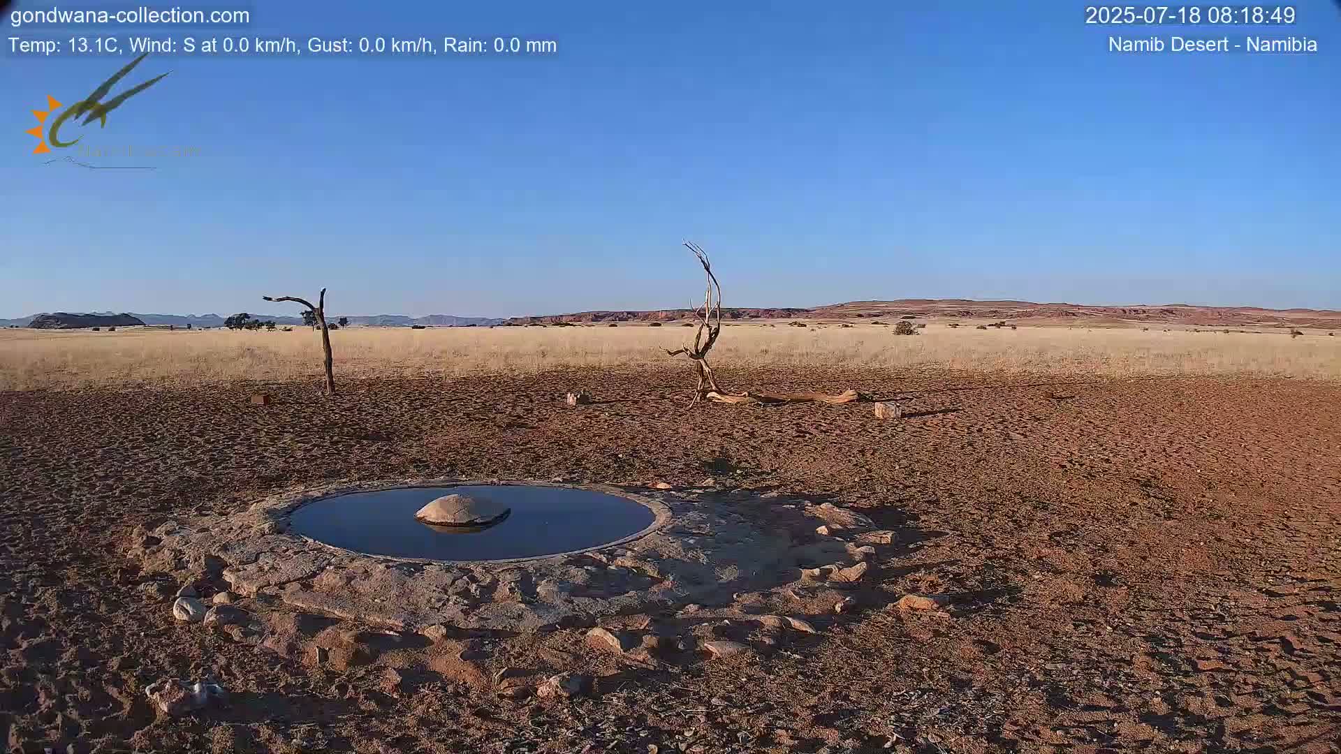 Wild Life in Namib Desert Naukluft National Park Live Cam - Maltahohe, Hardap,  Namibia