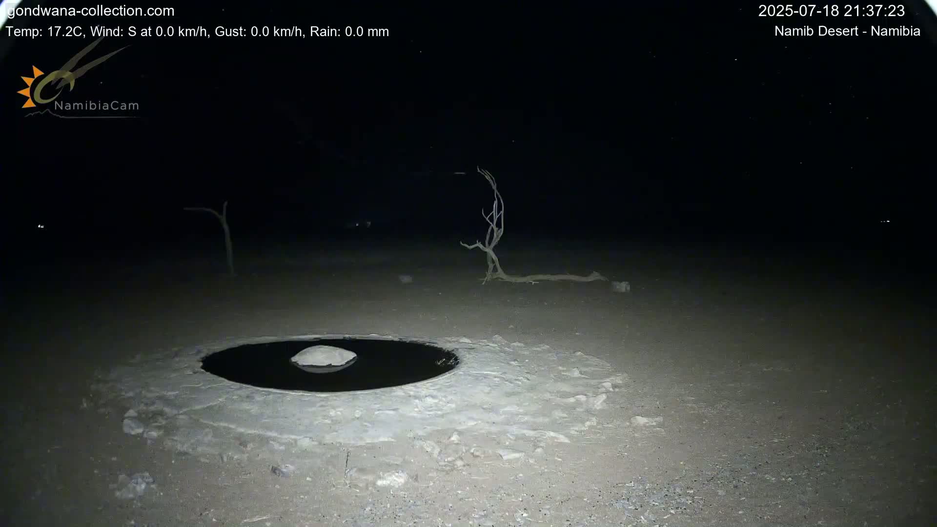 Wild Life in Namib Desert Naukluft National Park Live Cam - Maltahohe, Hardap,  Namibia
