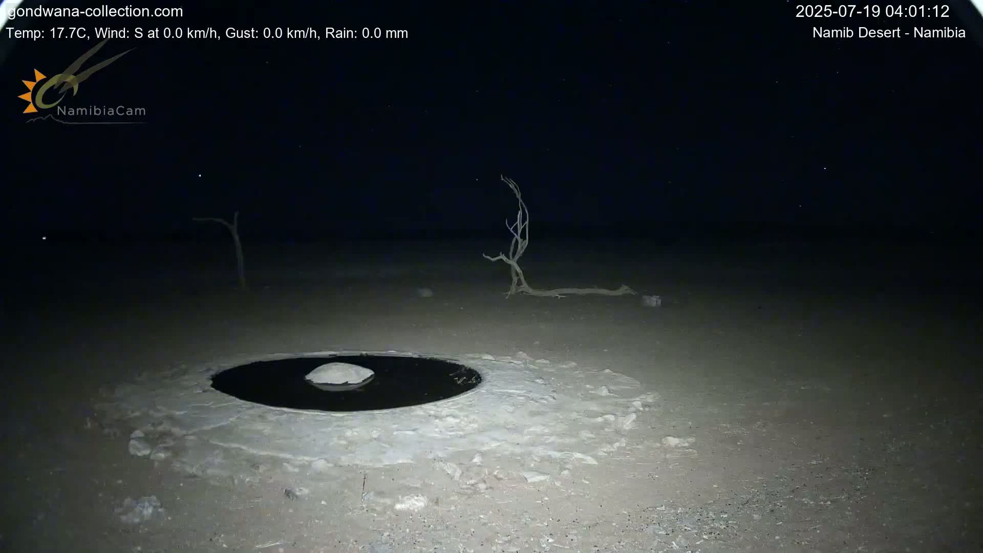 Wild Life in Namib Desert Naukluft National Park Live Cam - Maltahohe, Hardap,  Namibia