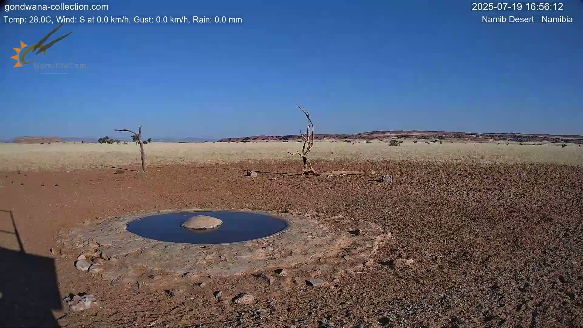 Wild Life in Namib Desert Naukluft National Park Live Cam - Maltahohe, Hardap,  Namibia