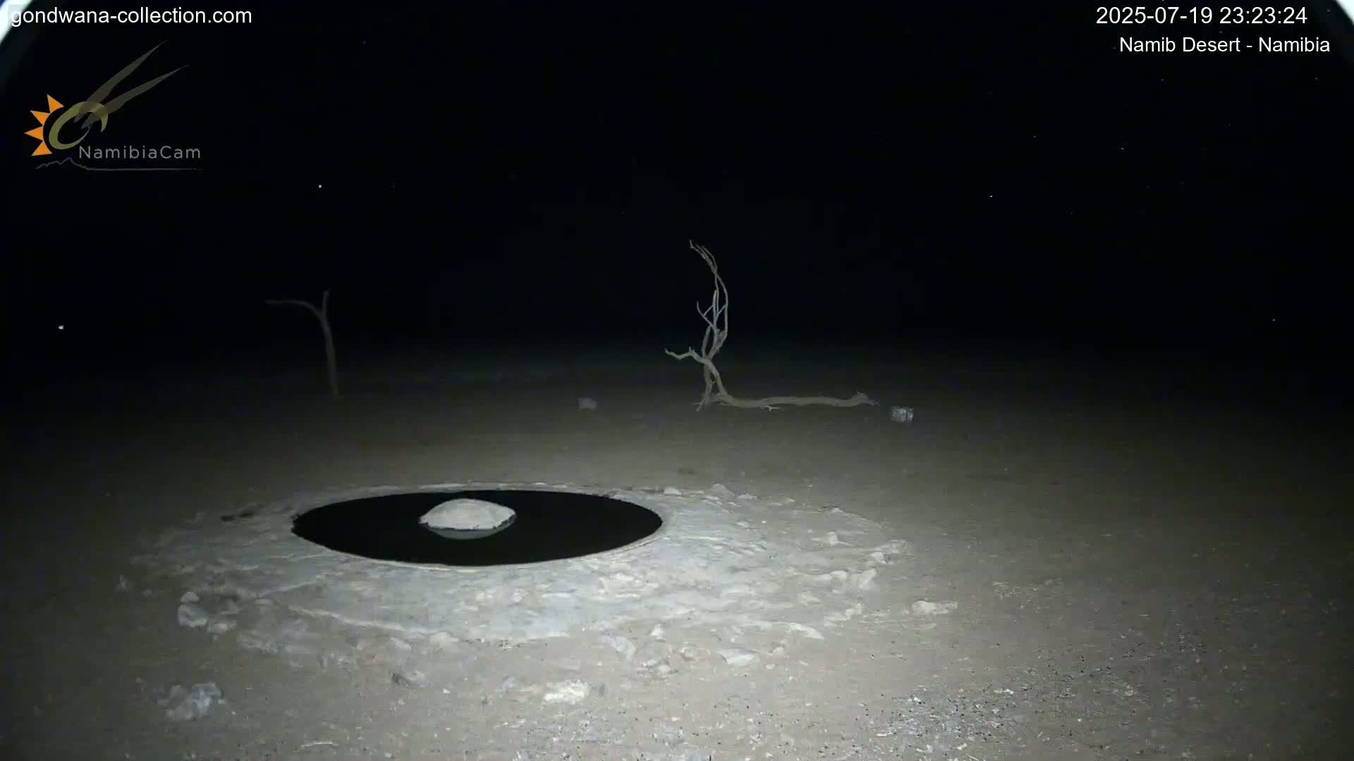 Wild Life in Namib Desert Naukluft National Park Live Cam - Maltahohe, Hardap,  Namibia