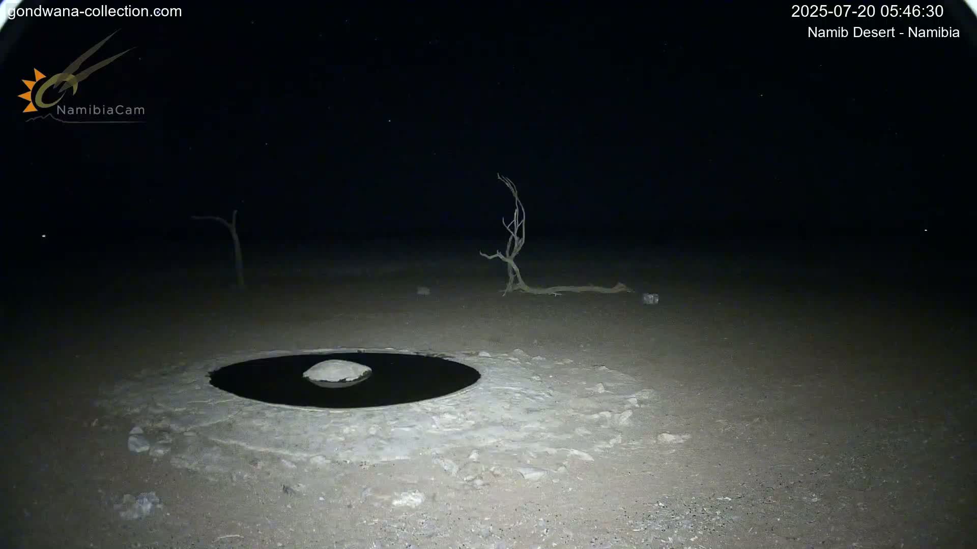 Wild Life in Namib Desert Naukluft National Park Live Cam - Maltahohe, Hardap,  Namibia