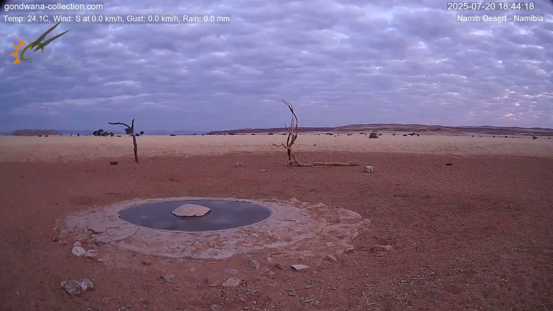 Wild Life in Namib Desert Naukluft National Park Live Cam - Maltahohe, Hardap,  Namibia