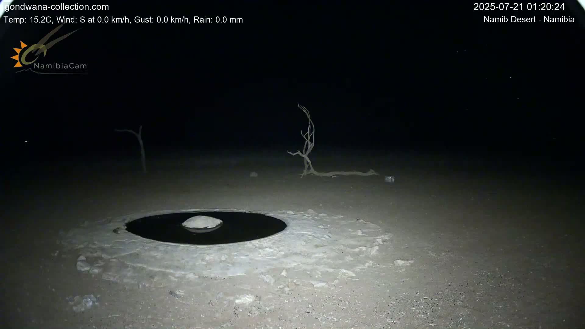 Wild Life in Namib Desert Naukluft National Park Live Cam - Maltahohe, Hardap,  Namibia