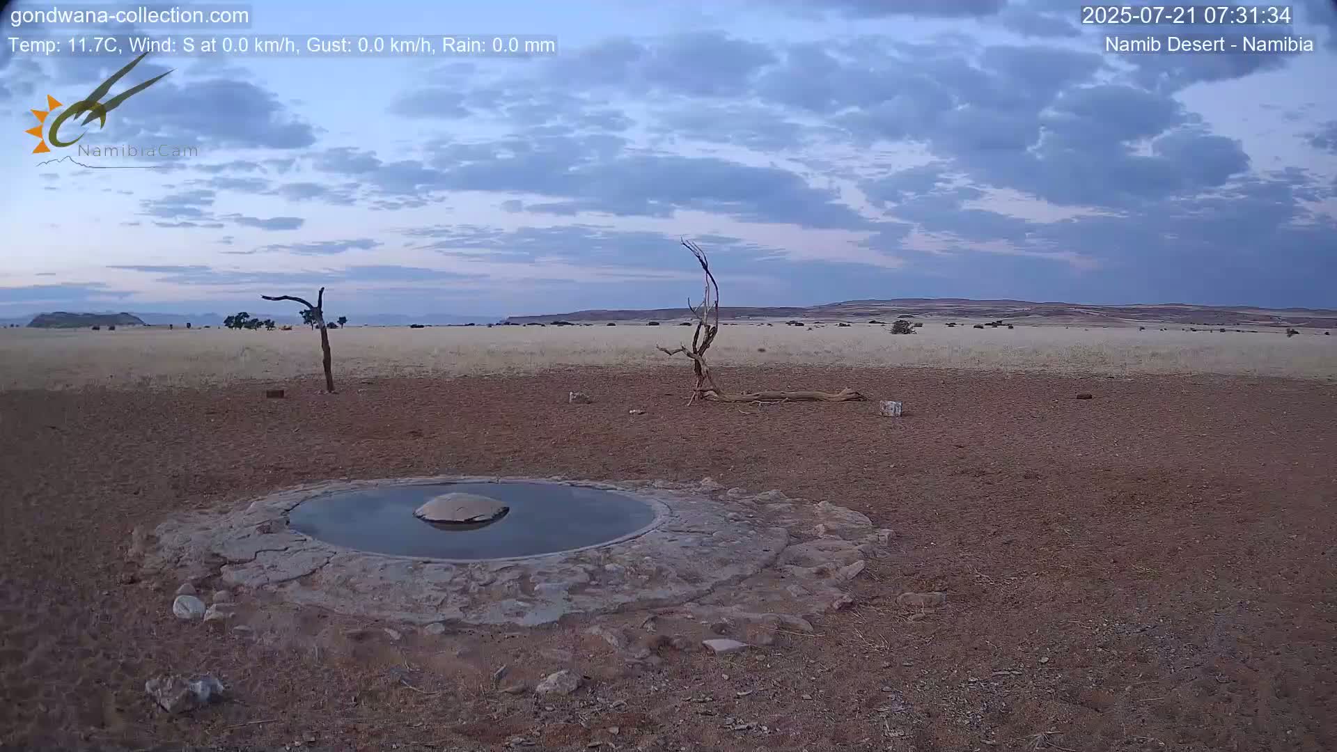 Wild Life in Namib Desert Naukluft National Park Live Cam - Maltahohe, Hardap,  Namibia