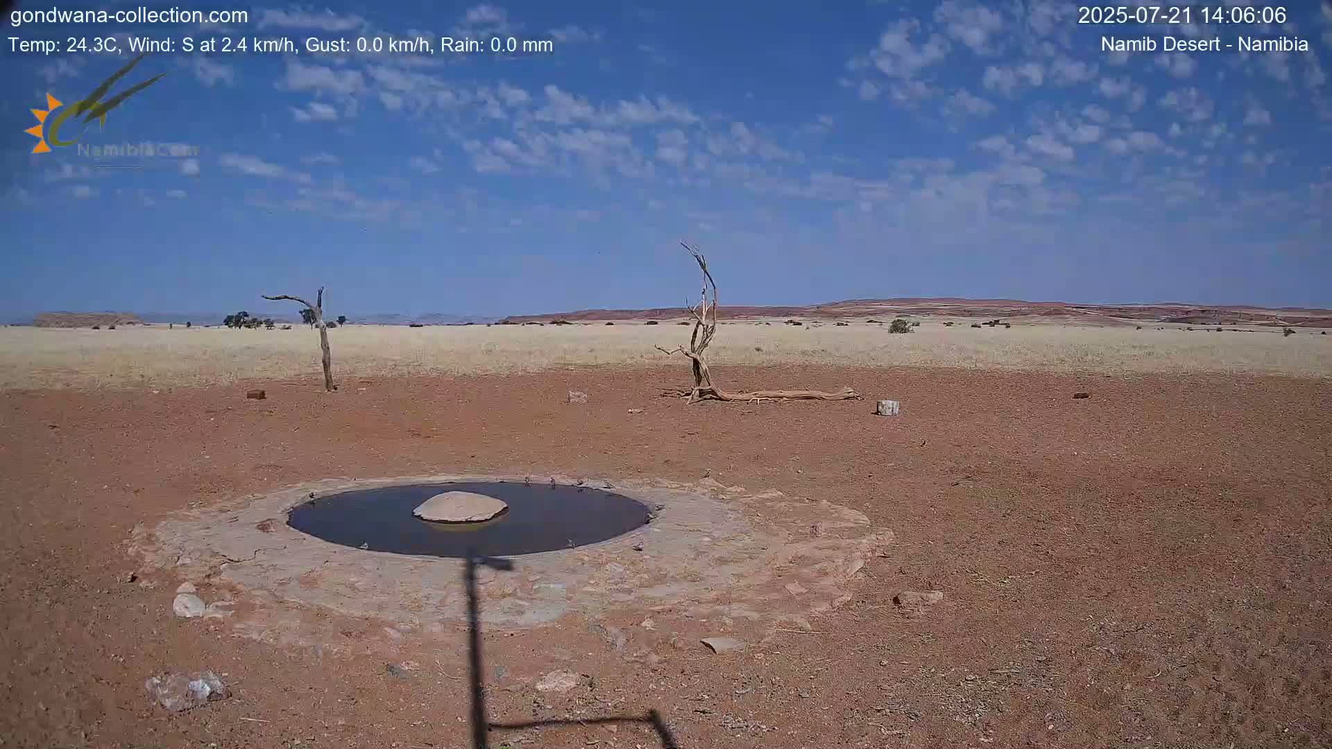 Wild Life in Namib Desert Naukluft National Park Live Cam - Maltahohe, Hardap,  Namibia