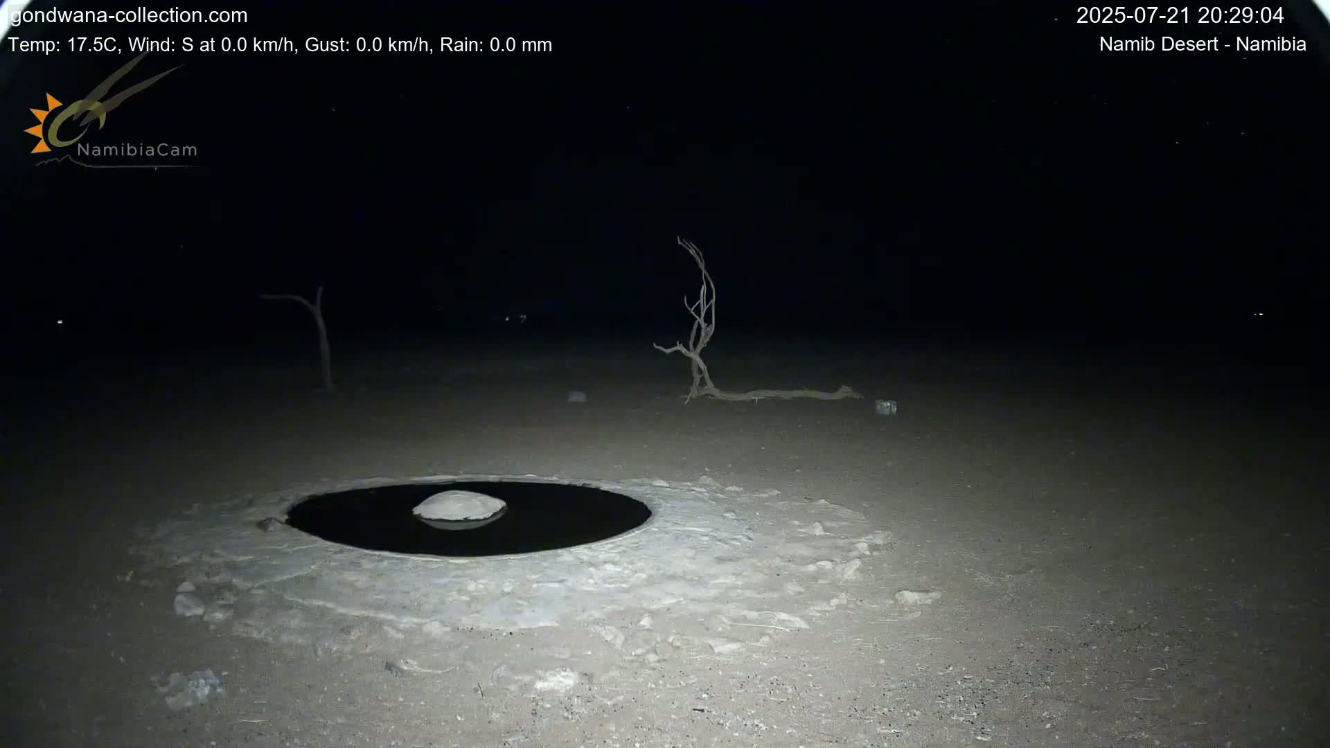 Wild Life in Namib Desert Naukluft National Park Live Cam - Maltahohe, Hardap,  Namibia