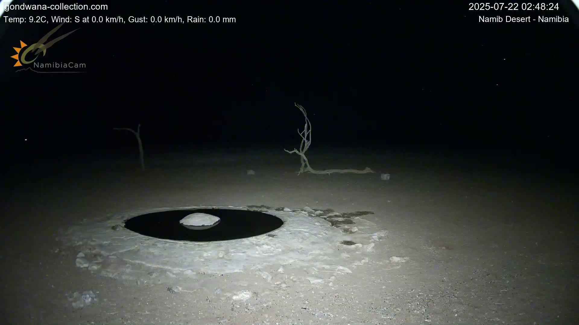 Wild Life in Namib Desert Naukluft National Park Live Cam - Maltahohe, Hardap,  Namibia