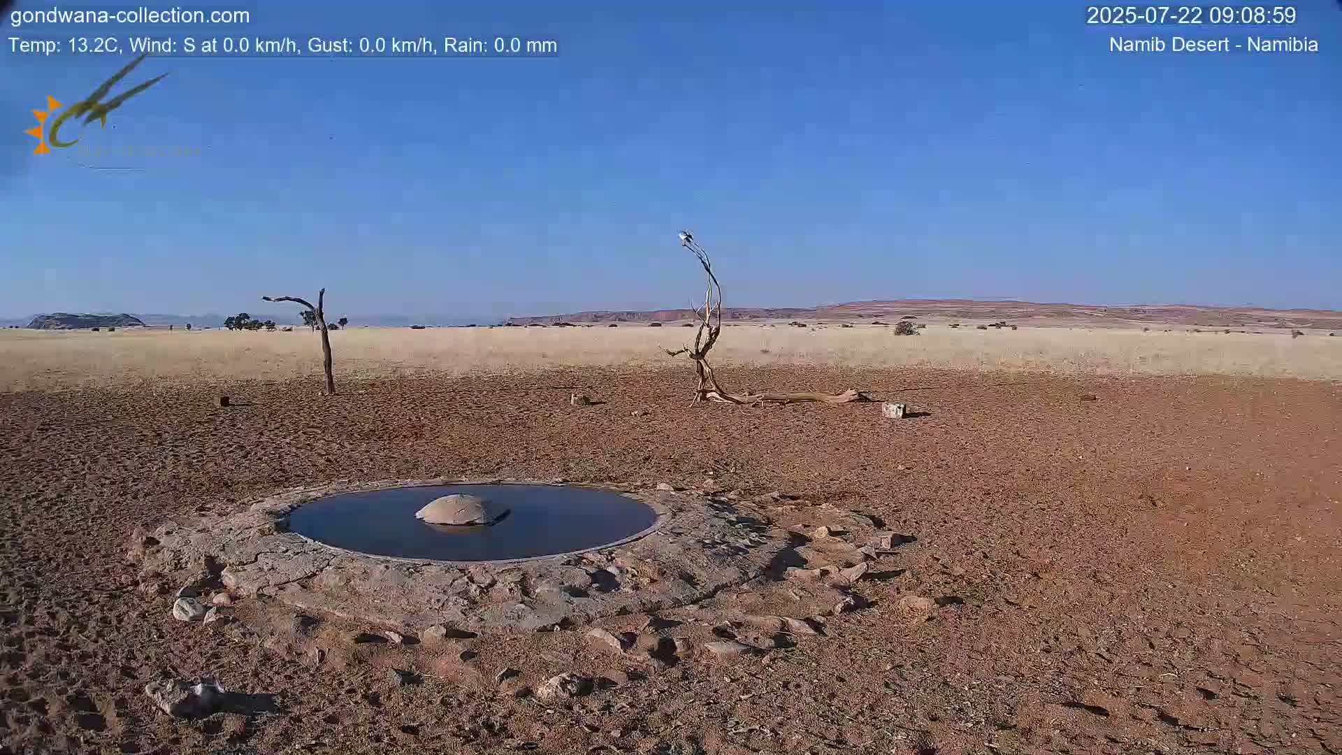 A small, round pool of water sits in a dry, reddish-brown desert landscape under a clear blue sky.