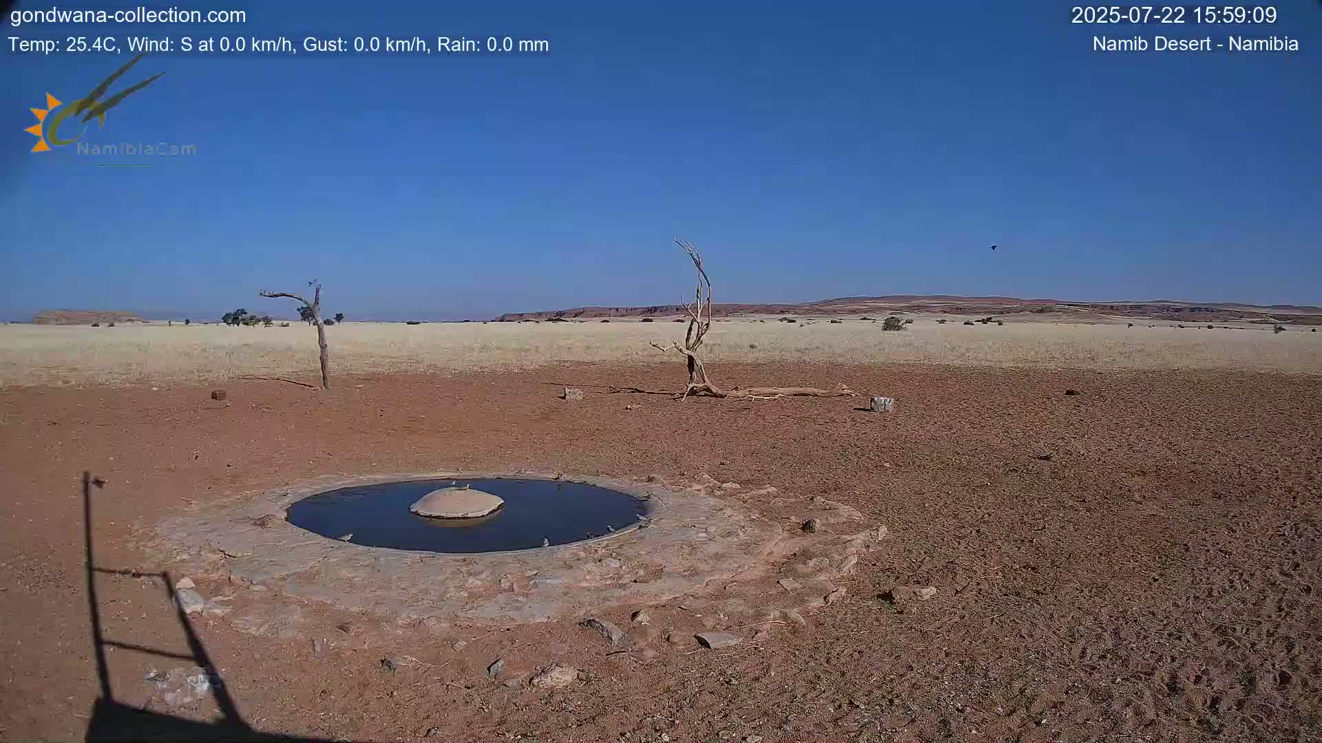 Wild Life in Namib Desert Naukluft National Park Live Cam - Maltahohe, Hardap,  Namibia