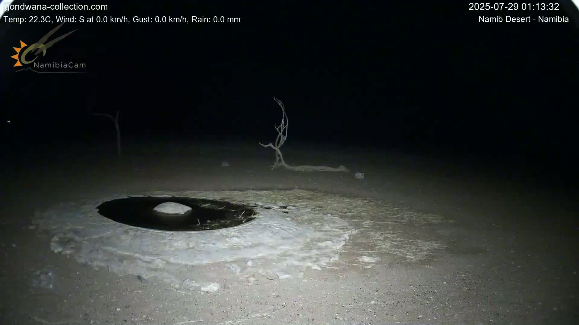 Wild Life in Namib Desert Naukluft National Park Live Cam - Maltahohe, Hardap,  Namibia