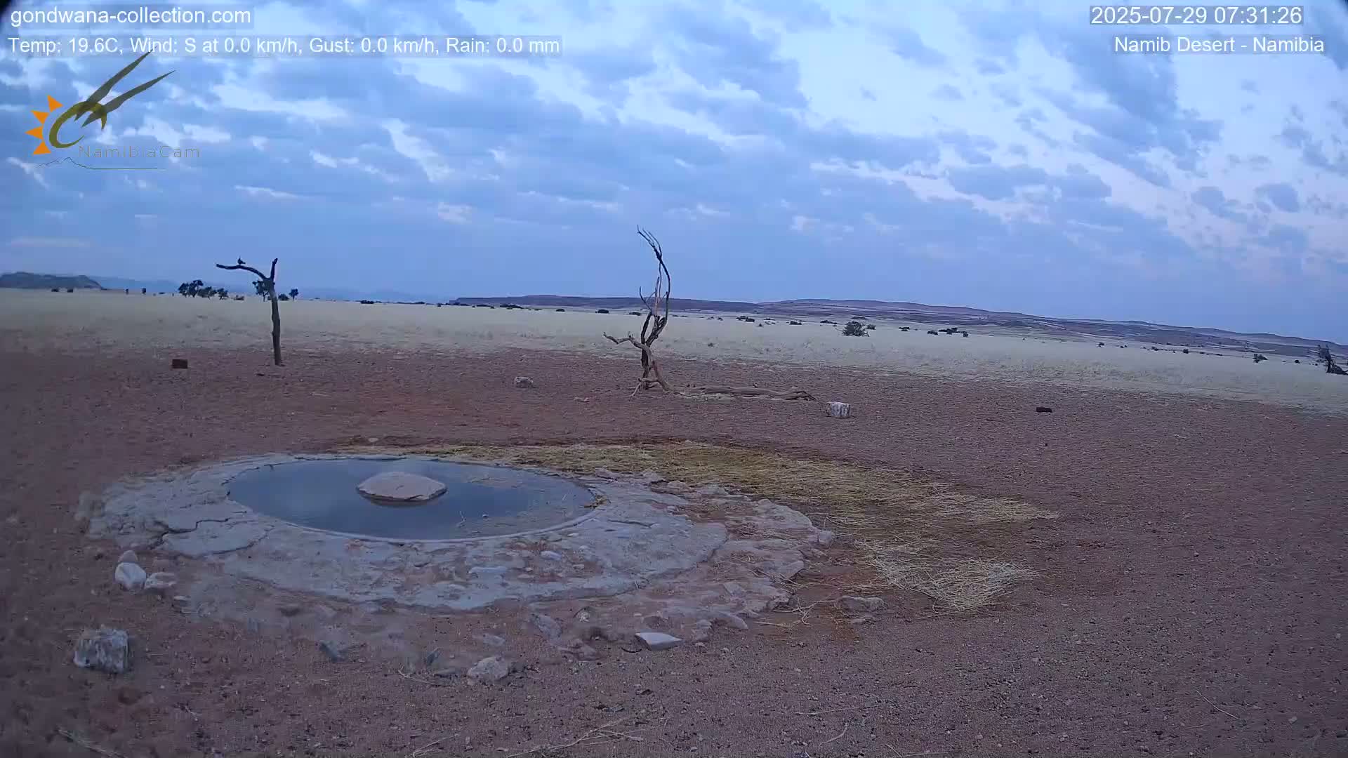 Wild Life in Namib Desert Naukluft National Park Live Cam - Maltahohe, Hardap,  Namibia