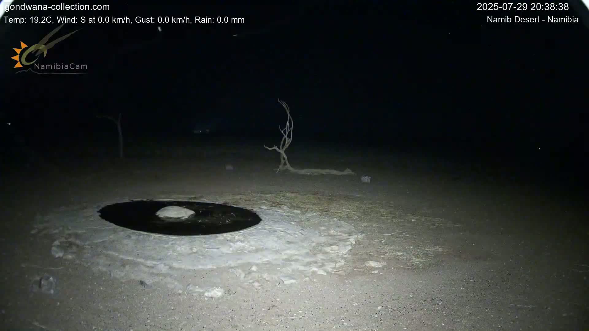 Wild Life in Namib Desert Naukluft National Park Live Cam - Maltahohe, Hardap,  Namibia