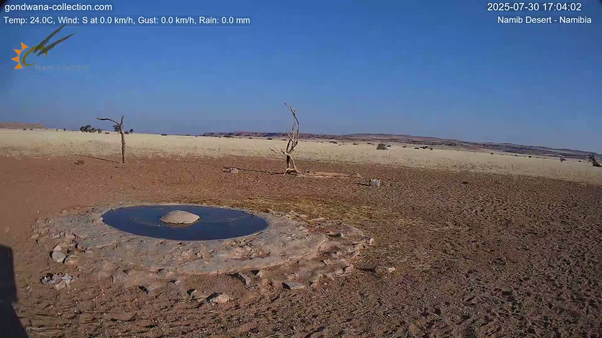Wild Life in Namib Desert Naukluft National Park Live Cam - Maltahohe, Hardap,  Namibia