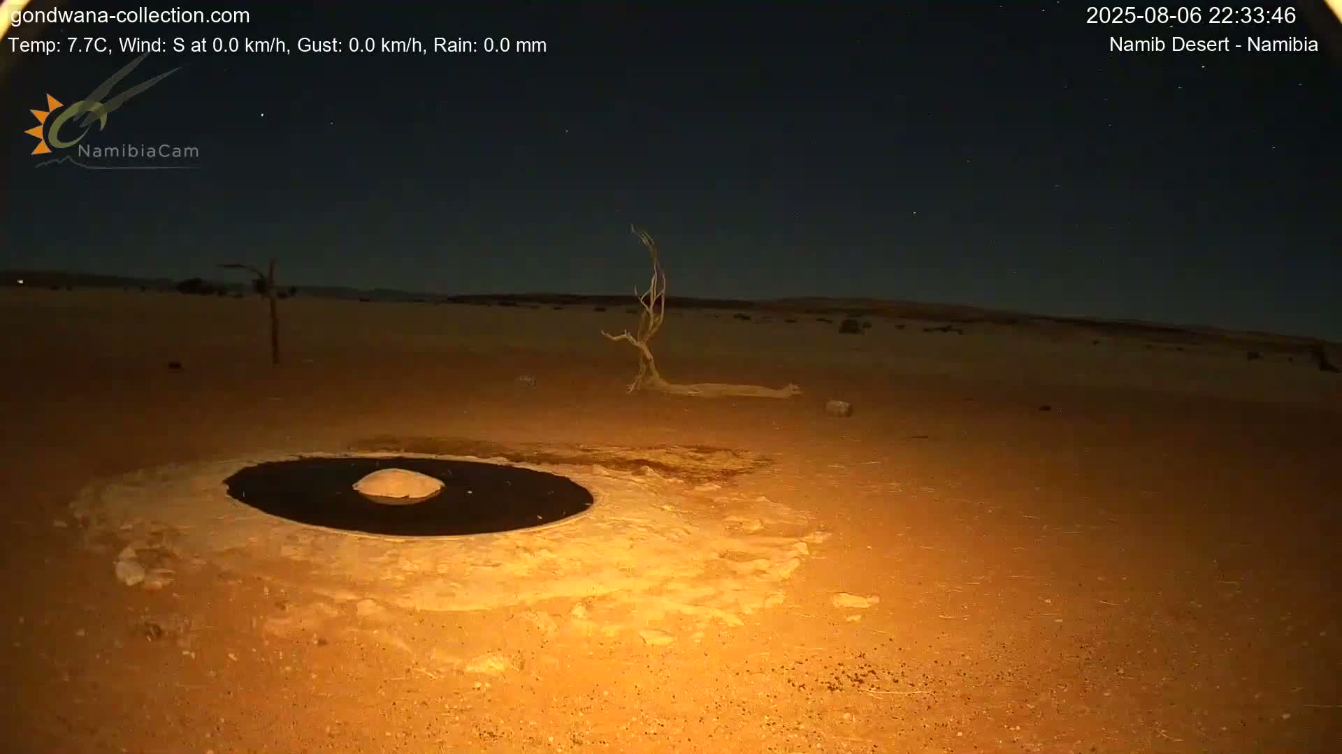 A dark, clear night scene in a desert shows a small, dark pool of water surrounded by light-colored sand, a barren tree, and a few rocks under a starry sky.