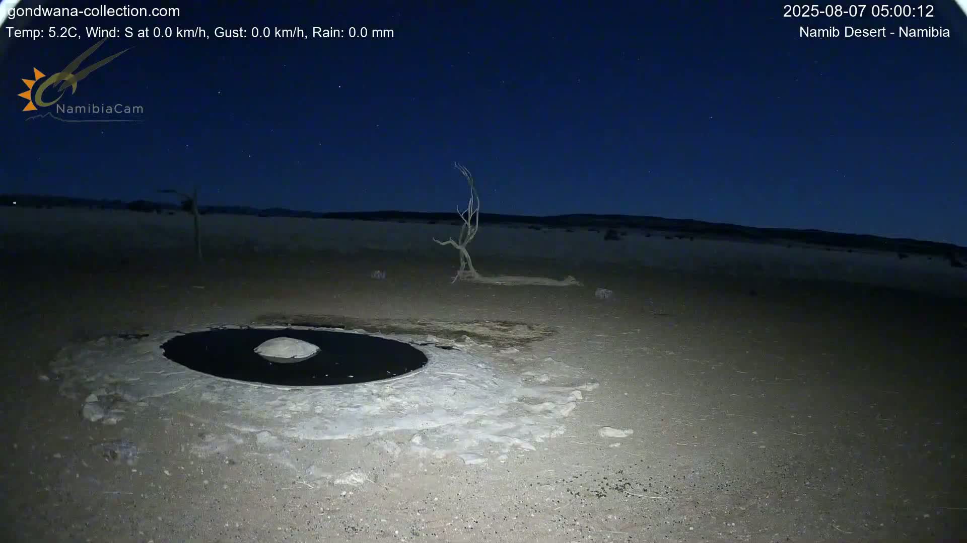 Wild Life in Namib Desert Naukluft National Park Live Cam - Maltahohe, Hardap,  Namibia
