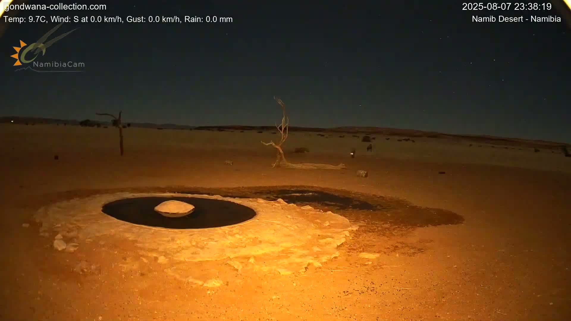 Wild Life in Namib Desert Naukluft National Park Live Cam - Maltahohe, Hardap,  Namibia