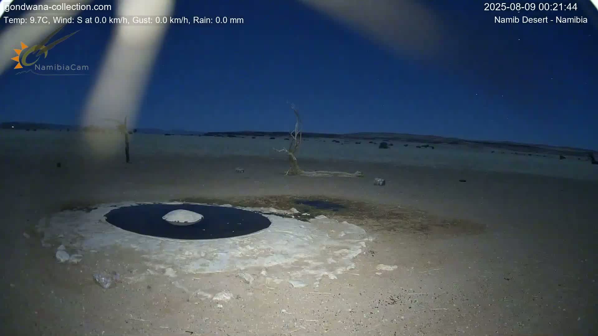 Wild Life in Namib Desert Naukluft National Park Live Cam - Maltahohe, Hardap,  Namibia