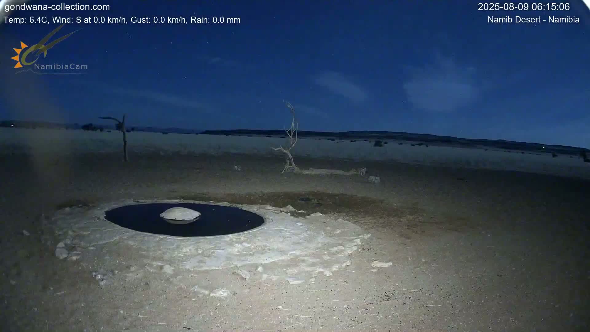 Wild Life in Namib Desert Naukluft National Park Live Cam - Maltahohe, Hardap,  Namibia