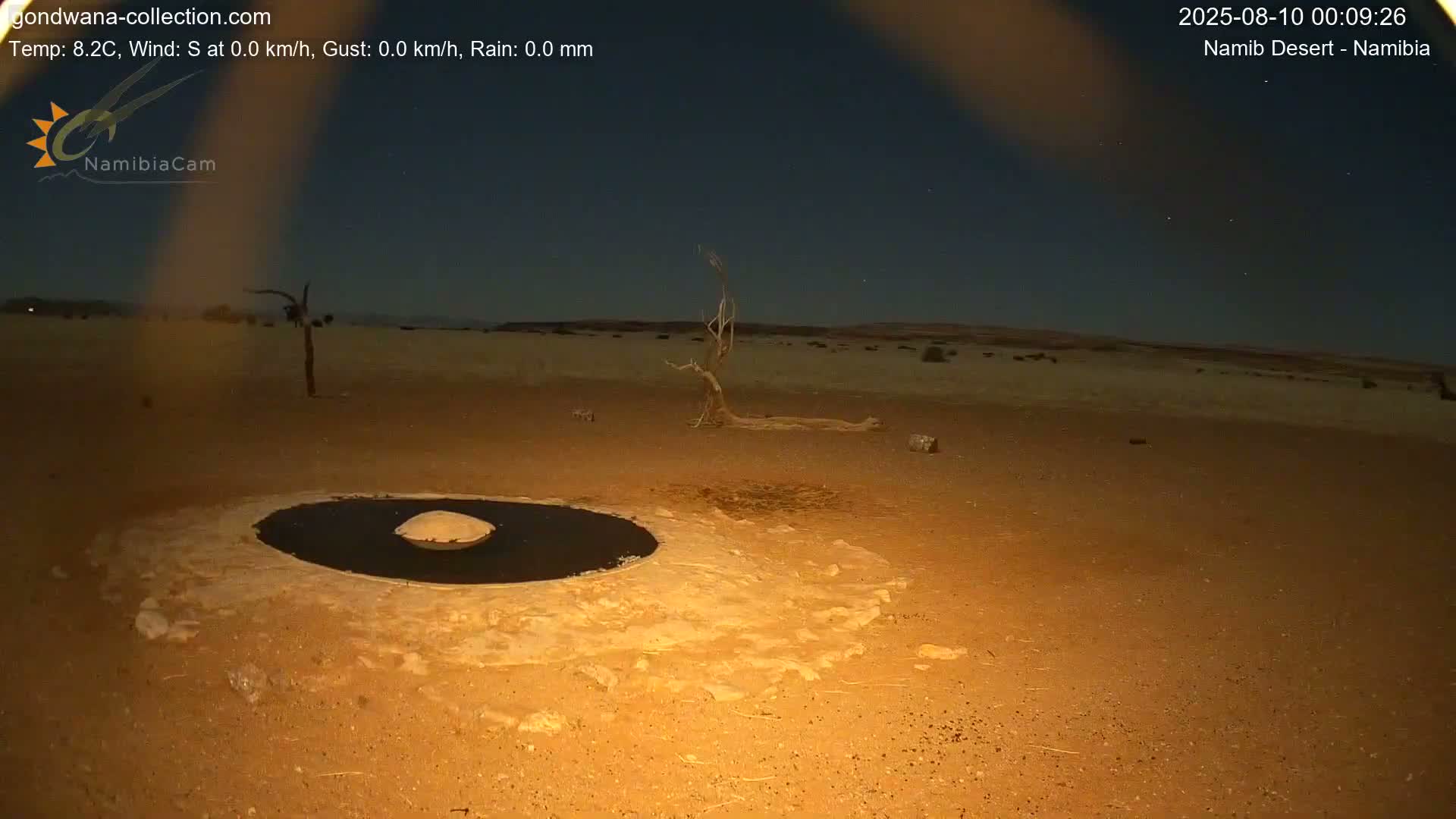 Wild Life in Namib Desert Naukluft National Park Live Cam - Maltahohe, Hardap,  Namibia