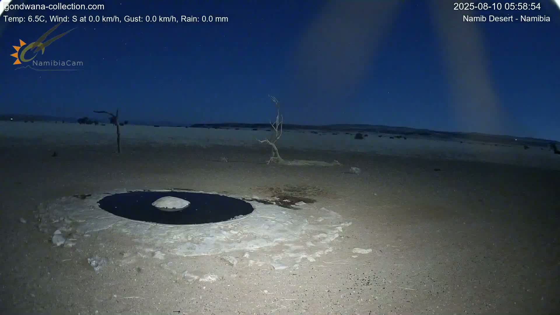 Wild Life in Namib Desert Naukluft National Park Live Cam - Maltahohe, Hardap,  Namibia