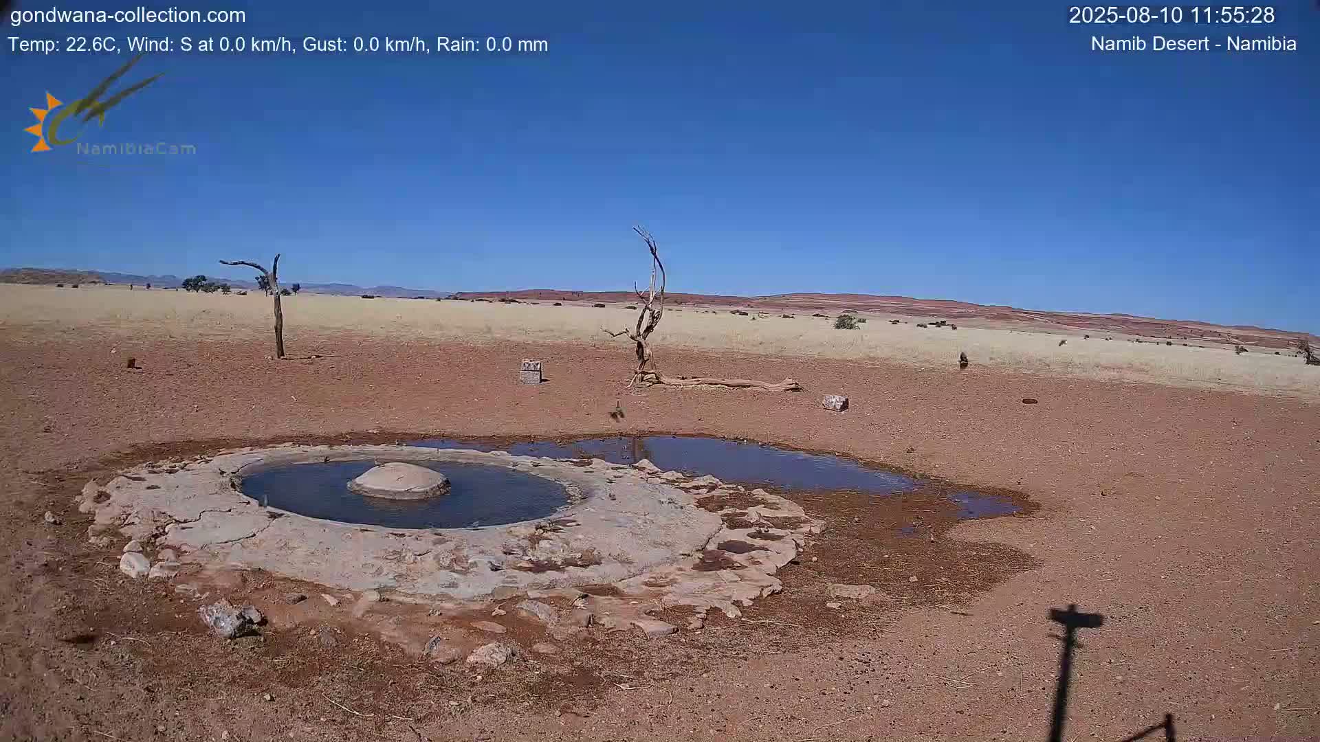 Wild Life in Namib Desert Naukluft National Park Live Cam - Maltahohe, Hardap,  Namibia