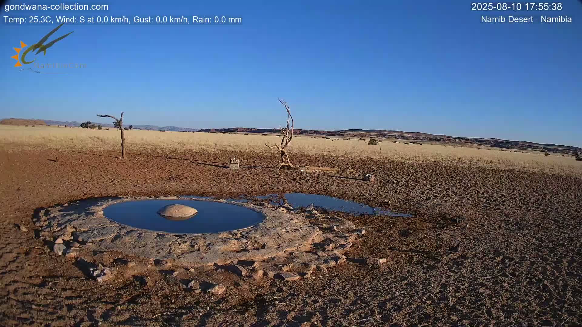 Wild Life in Namib Desert Naukluft National Park Live Cam - Maltahohe, Hardap,  Namibia