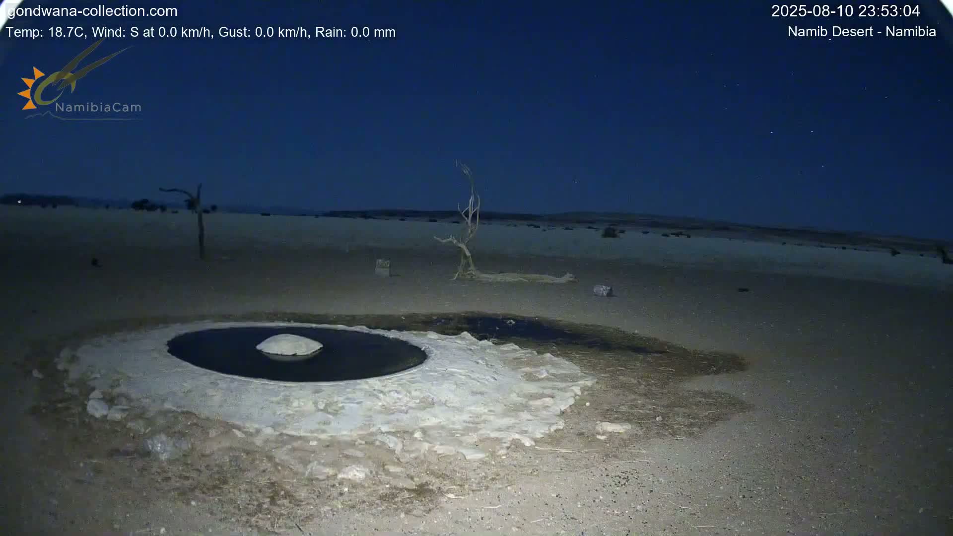 Wild Life in Namib Desert Naukluft National Park Live Cam - Maltahohe, Hardap,  Namibia