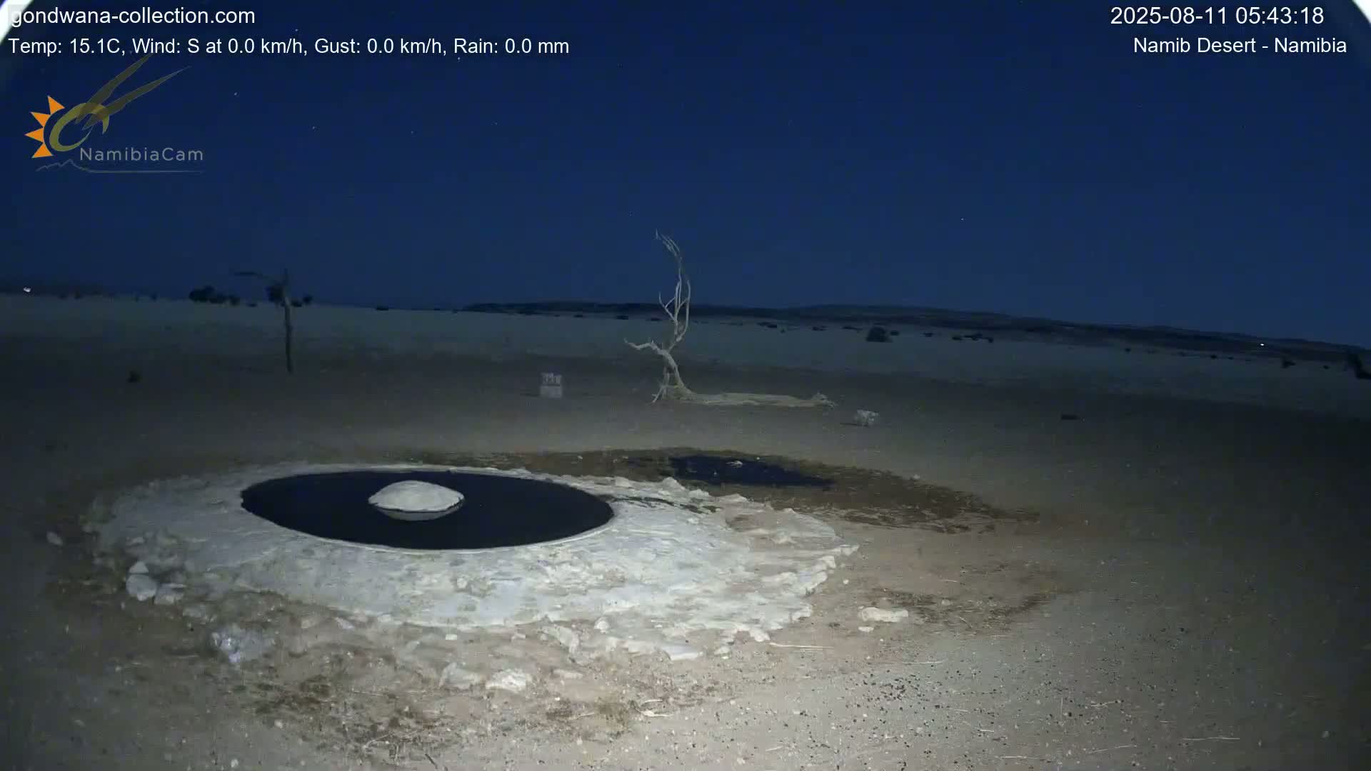 Wild Life in Namib Desert Naukluft National Park Live Cam - Maltahohe, Hardap,  Namibia