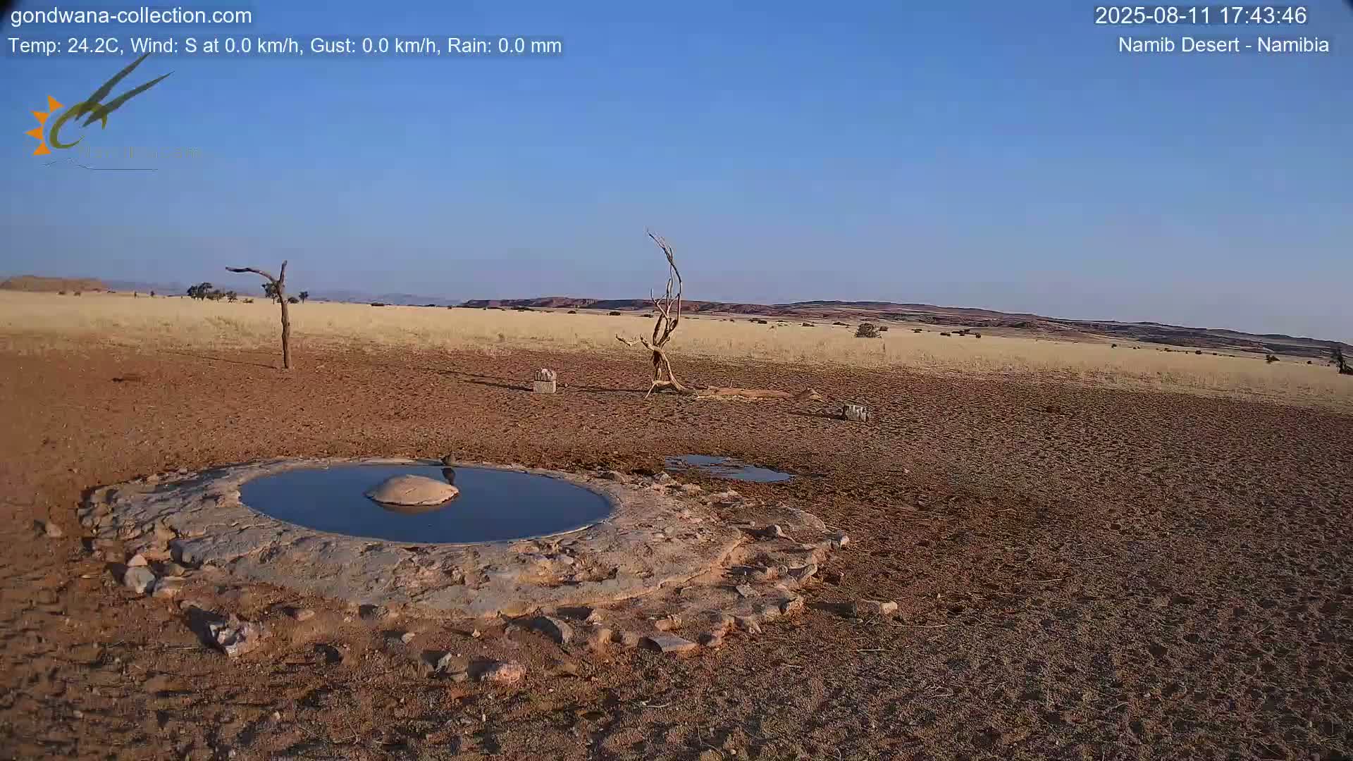 Wild Life in Namib Desert Naukluft National Park Live Cam - Maltahohe, Hardap,  Namibia