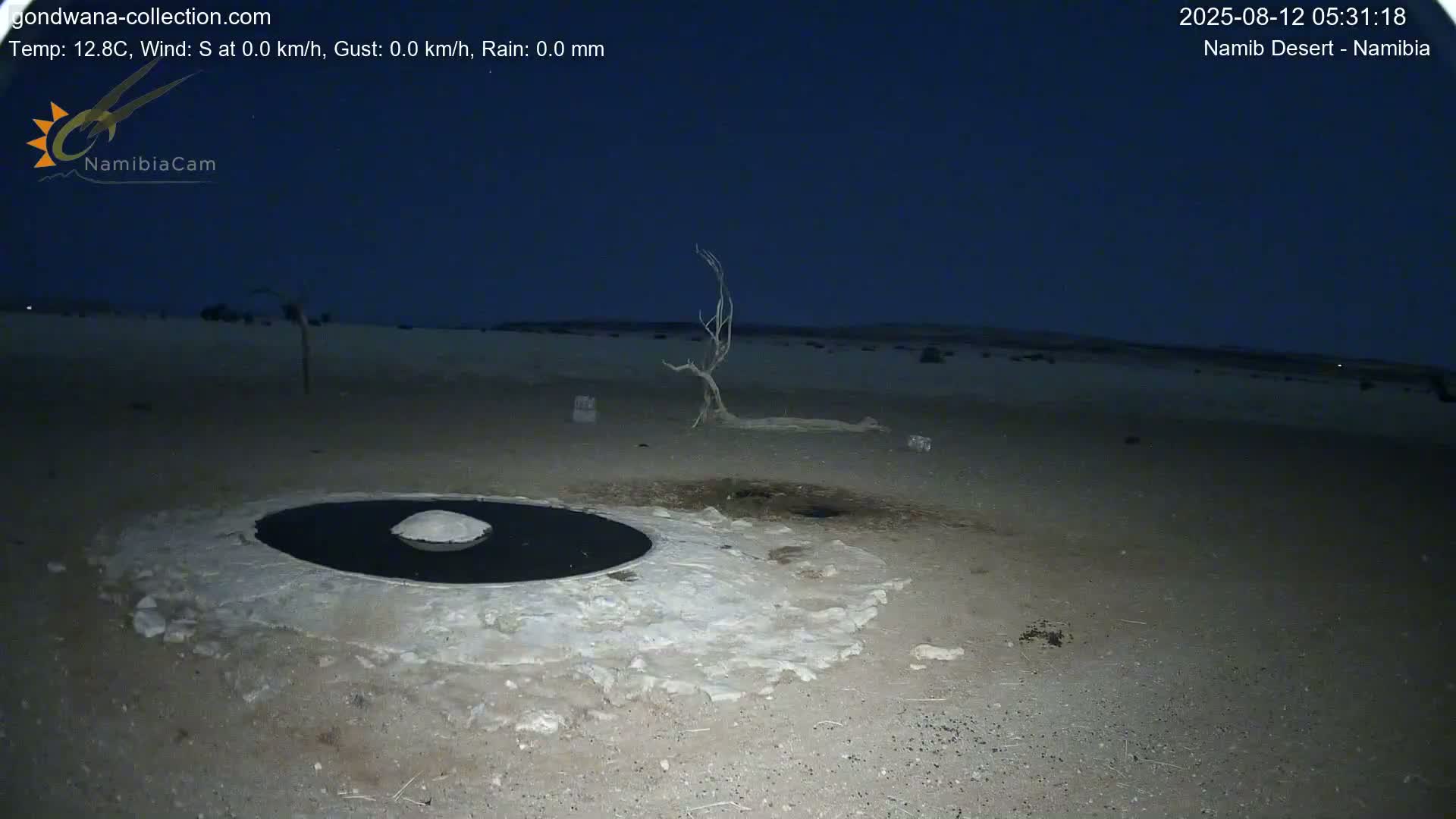 Wild Life in Namib Desert Naukluft National Park Live Cam - Maltahohe, Hardap,  Namibia
