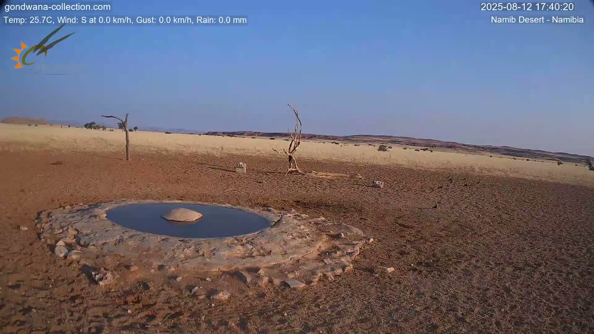 Wild Life in Namib Desert Naukluft National Park Live Cam - Maltahohe, Hardap,  Namibia