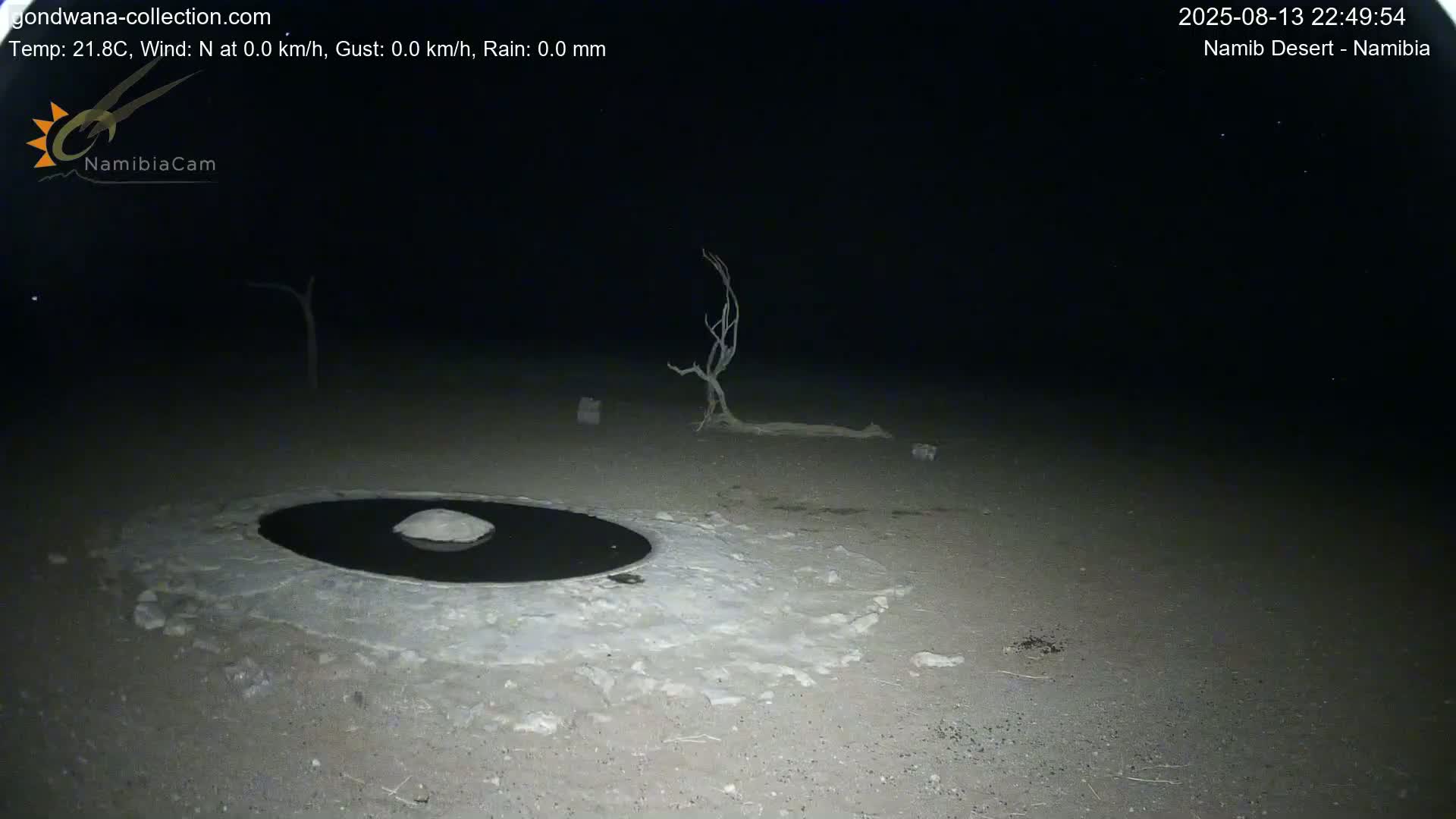 Wild Life in Namib Desert Naukluft National Park Live Cam - Maltahohe, Hardap,  Namibia