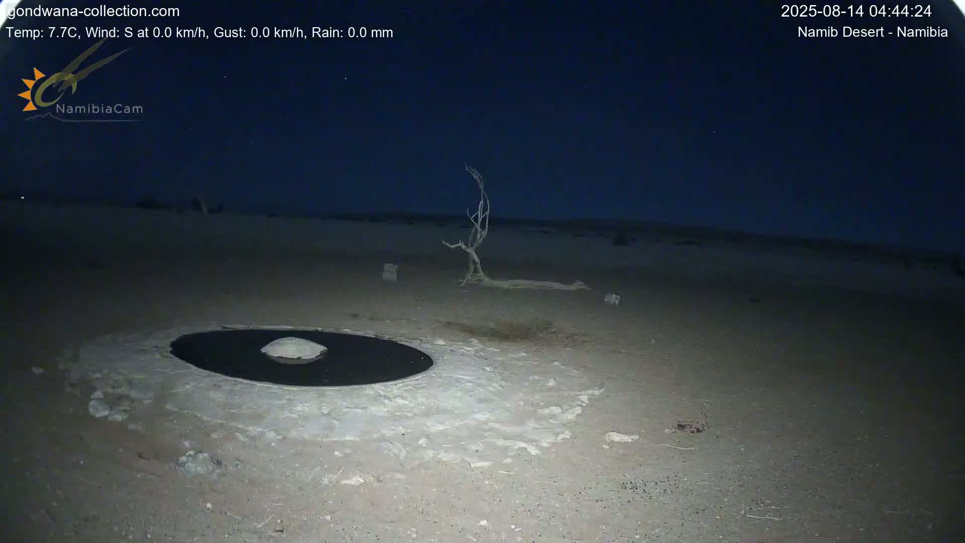 Wild Life in Namib Desert Naukluft National Park Live Cam - Maltahohe, Hardap,  Namibia
