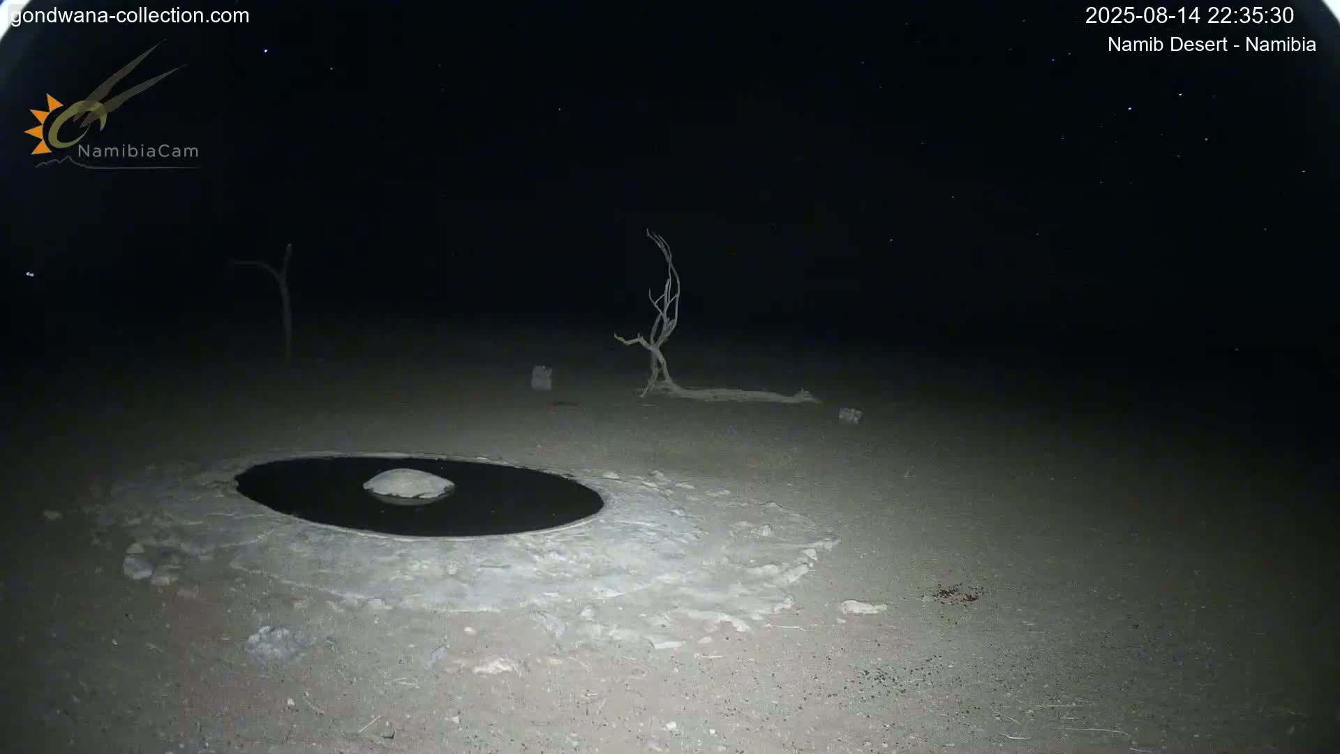 Wild Life in Namib Desert Naukluft National Park Live Cam - Maltahohe, Hardap,  Namibia