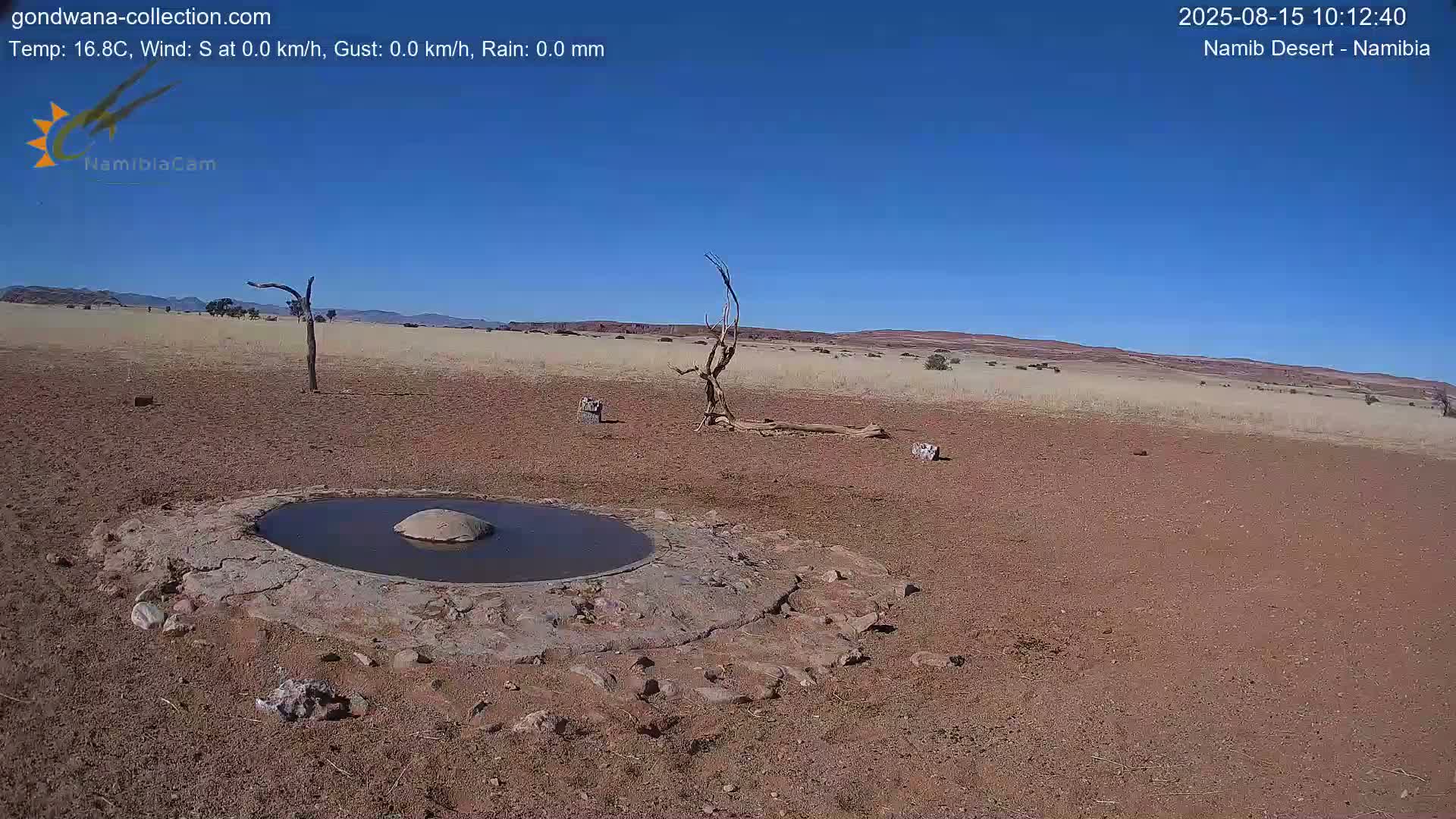 Wild Life in Namib Desert Naukluft National Park Live Cam - Maltahohe, Hardap,  Namibia