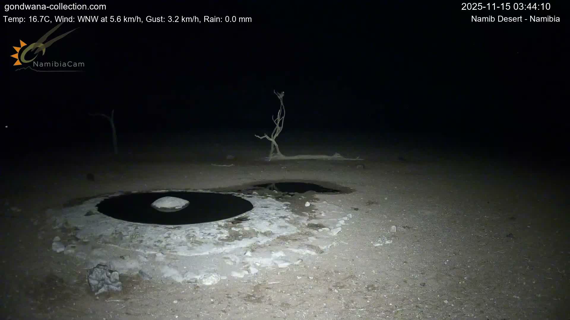 Under a clear, dark night sky, a calm waterhole with a rock in its center is visible in the foreground of a sparse desert landscape, featuring dry ground and a few bare, dead trees.