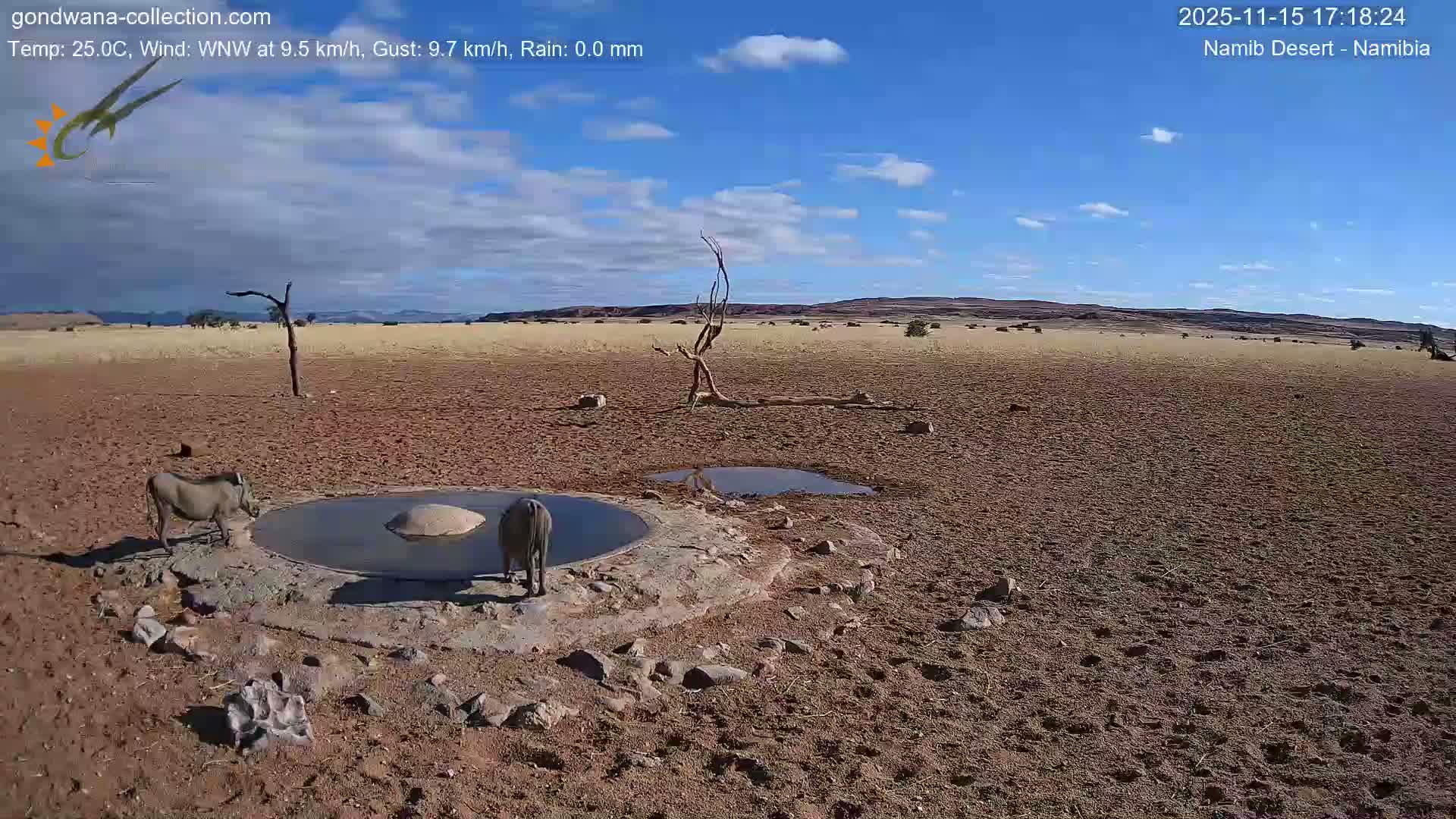 Wild Life in Namib Desert Naukluft National Park Live Cam - Maltahohe, Hardap,  Namibia