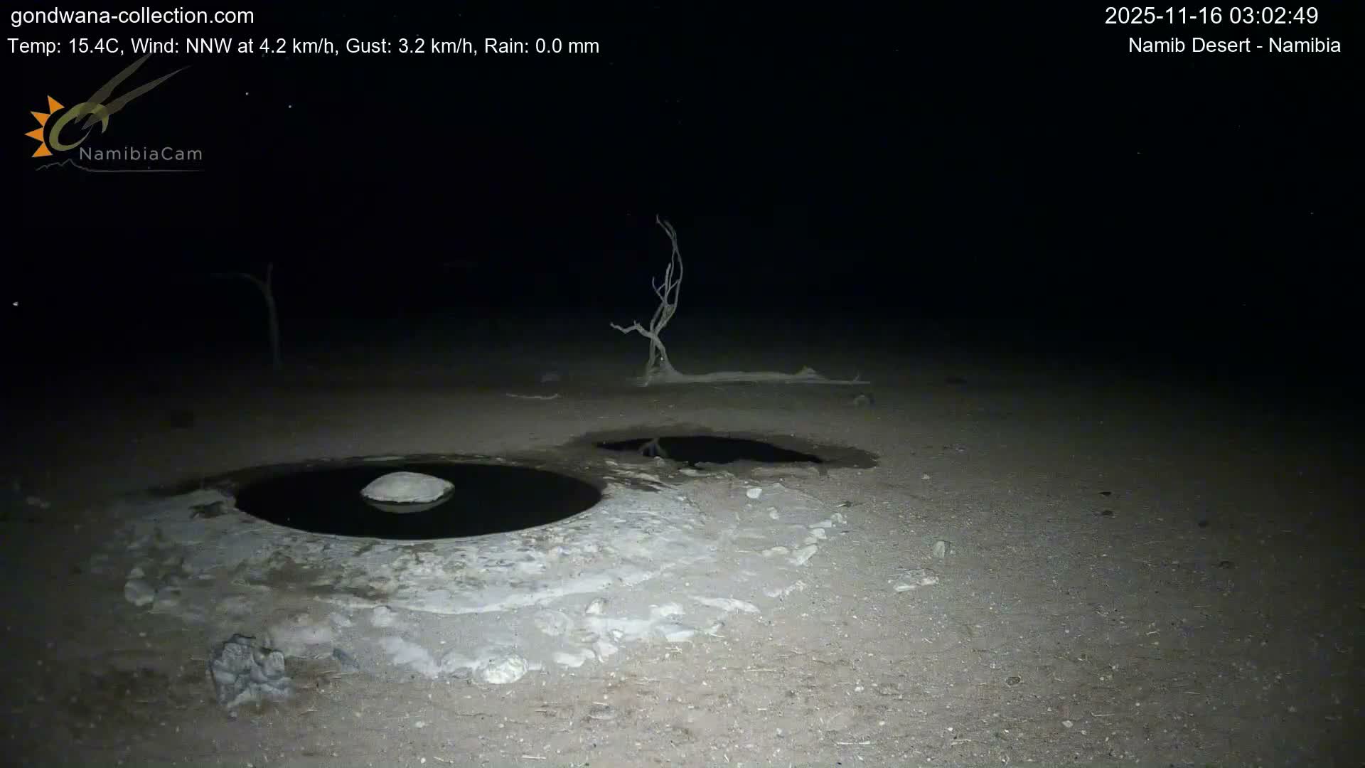 Wild Life in Namib Desert Naukluft National Park Live Cam - Maltahohe, Hardap,  Namibia