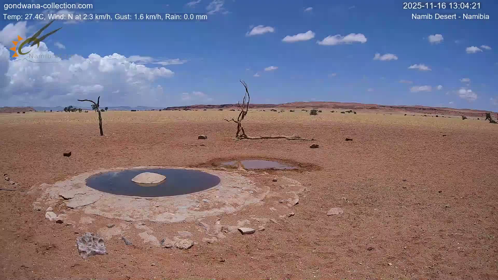 Wild Life in Namib Desert Naukluft National Park Live Cam - Maltahohe, Hardap,  Namibia