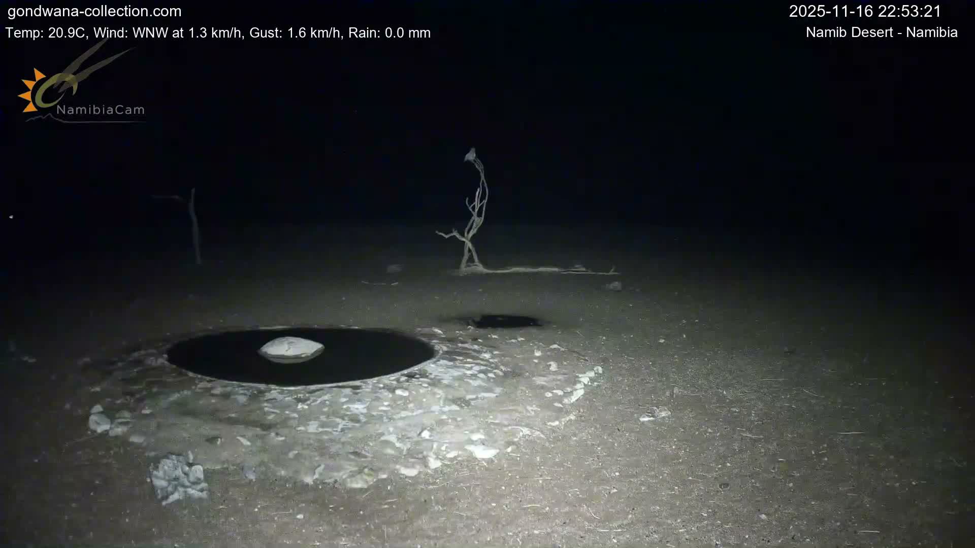 Wild Life in Namib Desert Naukluft National Park Live Cam - Maltahohe, Hardap,  Namibia