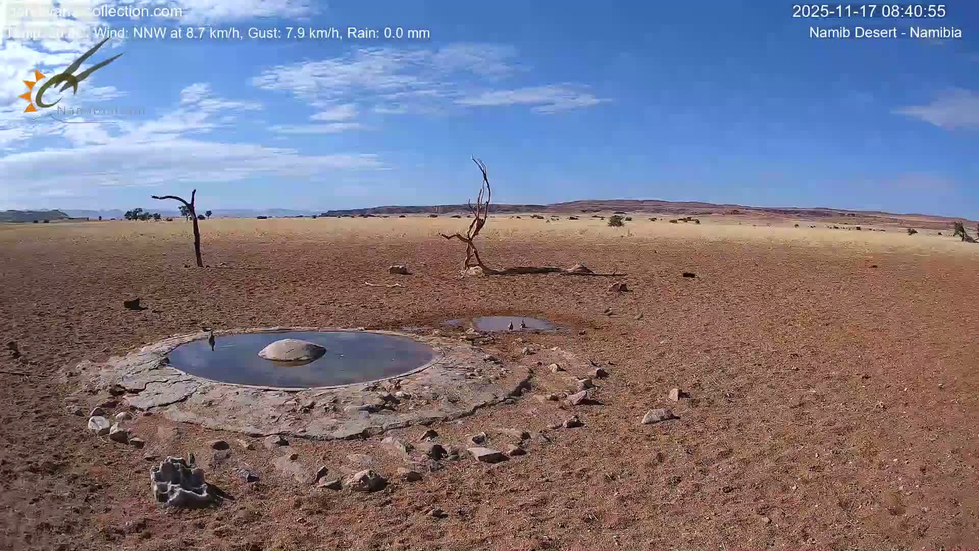 Wild Life in Namib Desert Naukluft National Park Live Cam - Maltahohe, Hardap,  Namibia