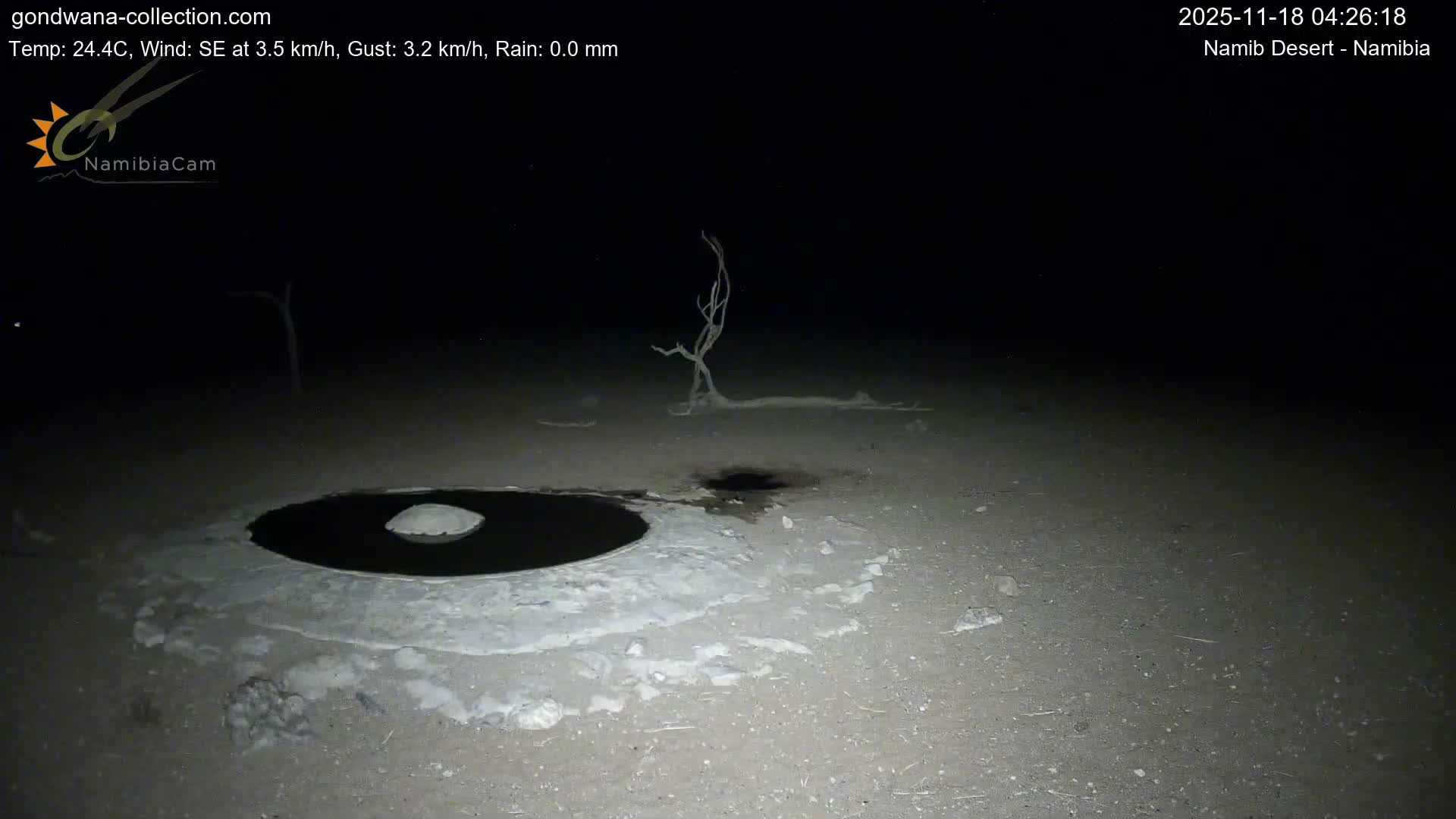 Wild Life in Namib Desert Naukluft National Park Live Cam - Maltahohe, Hardap,  Namibia
