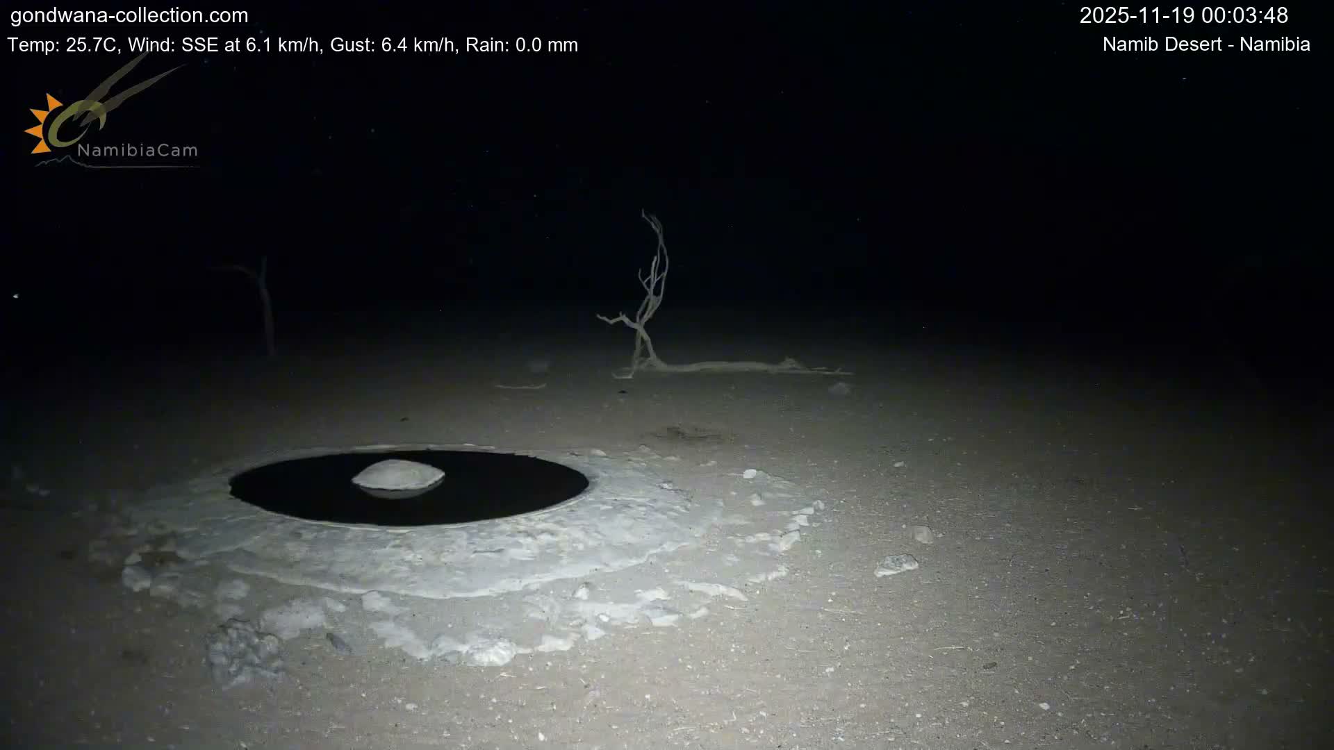 Wild Life in Namib Desert Naukluft National Park Live Cam - Maltahohe, Hardap,  Namibia