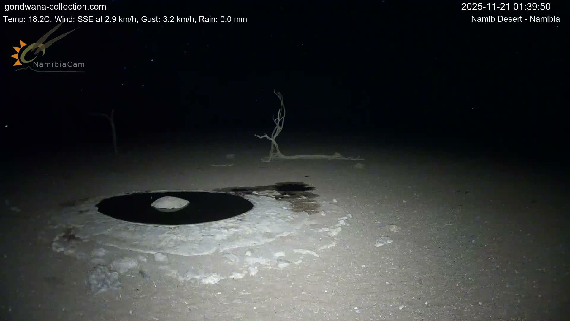 Wild Life in Namib Desert Naukluft National Park Live Cam - Maltahohe, Hardap,  Namibia