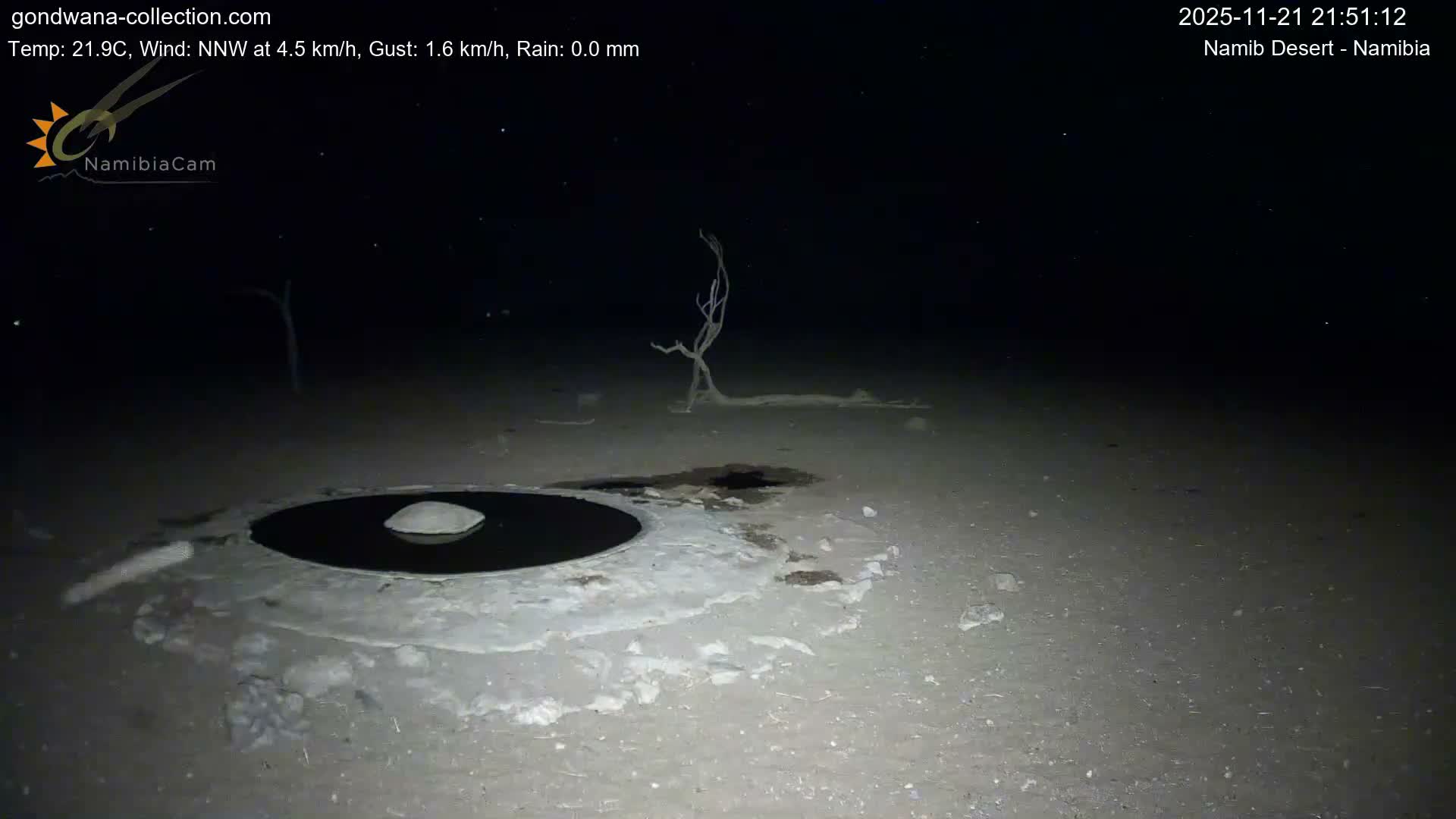 Wild Life in Namib Desert Naukluft National Park Live Cam - Maltahohe, Hardap,  Namibia