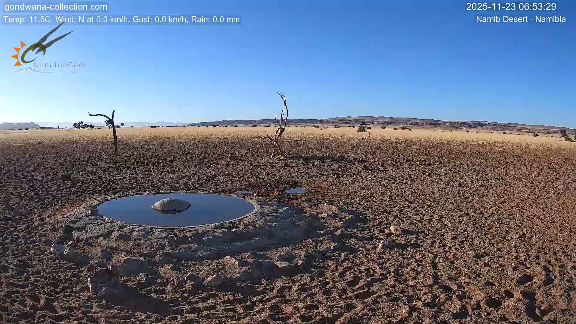 Wild Life in Namib Desert Naukluft National Park Live Cam - Maltahohe, Hardap,  Namibia